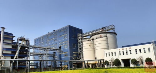 新春走基層丨自貢開放通道 上新 跨境電商產(chǎn)業(yè)蓄勢待發(fā)